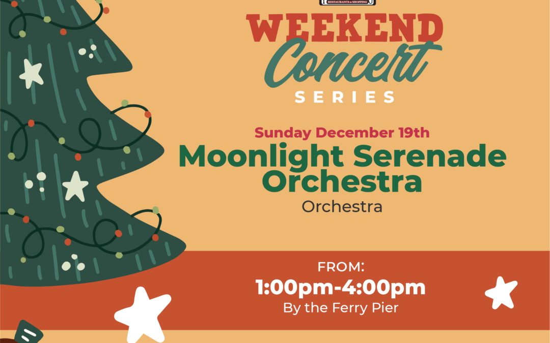 Moonlight Serenade Orchestra | Live Band