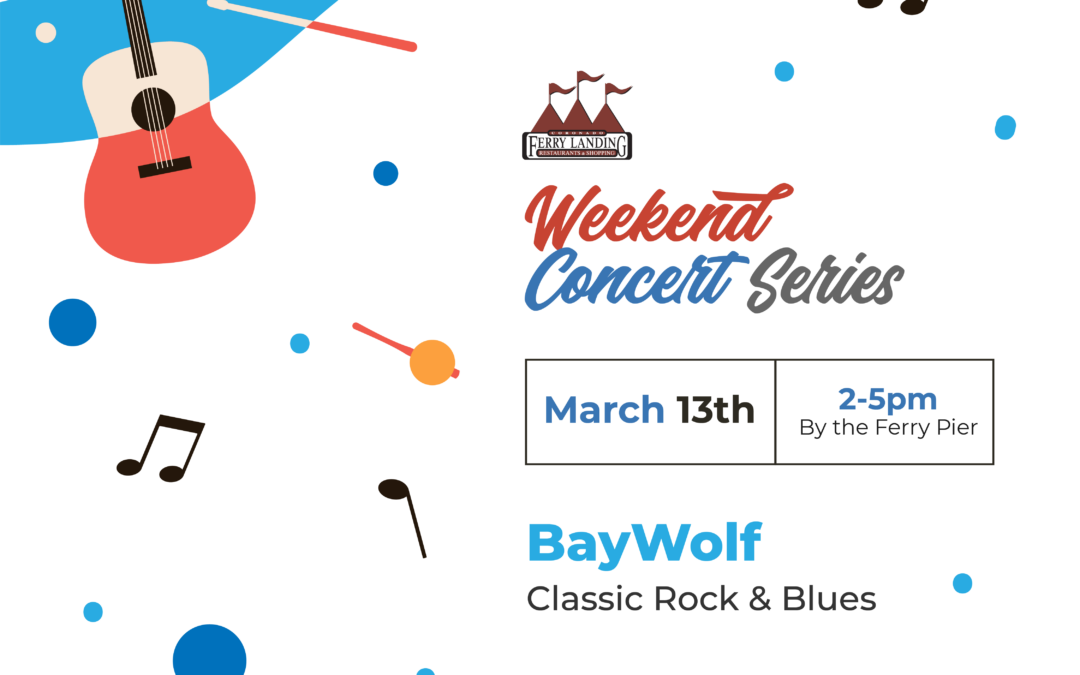 BayWolf | Live Band