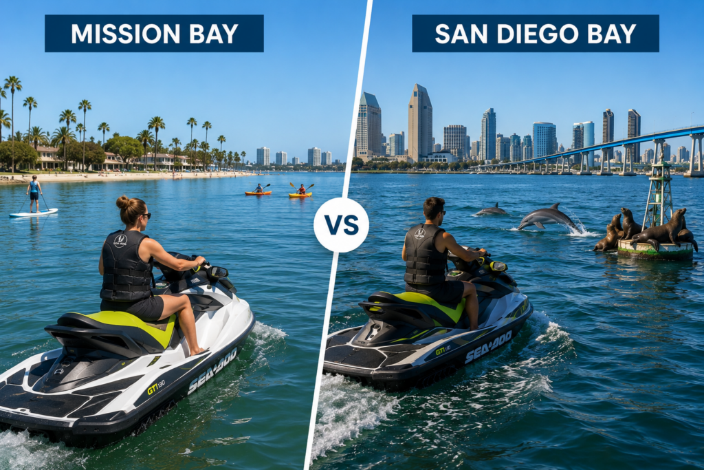 Mission Bay and San Diego Bay jet ski comparison for dolphin and wildlife sightings